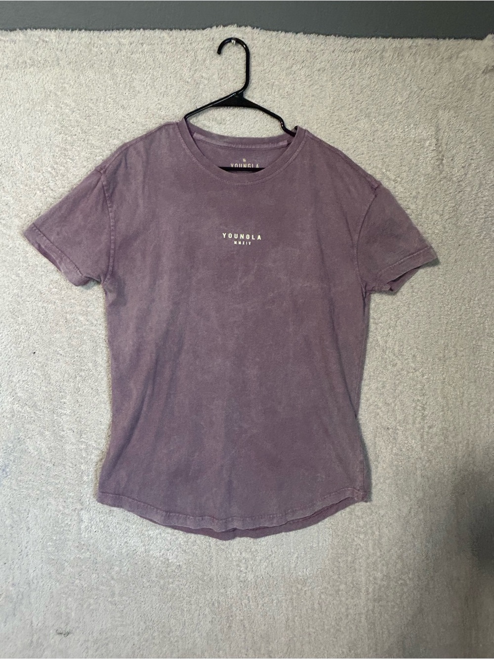 YOUNGLA Men's Washed Purple Crewneck T-Shirt